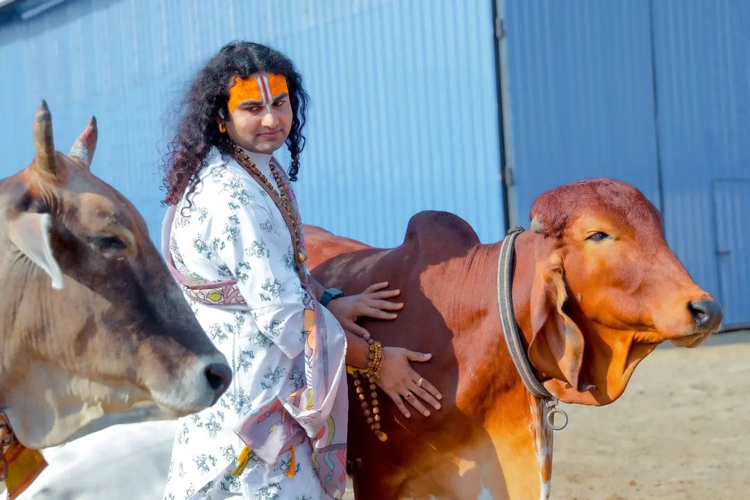 श्री गोरक्ष किमयागिरी प्रवाह - Shri